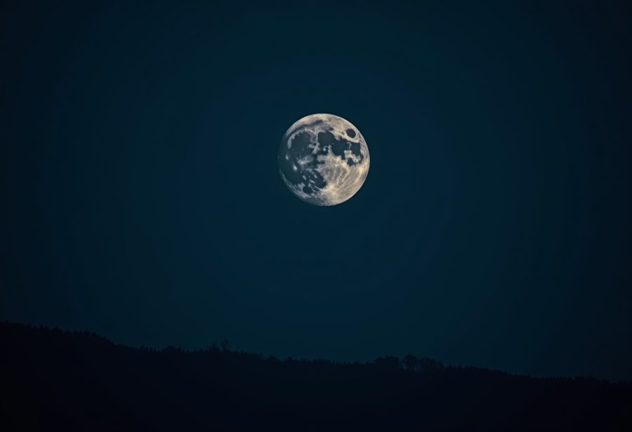 Luna featured