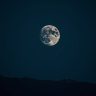 Luna featured